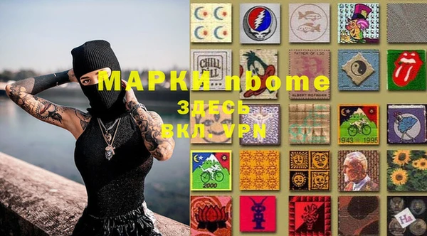 индика Арсеньев