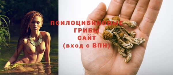 гидра Аркадак