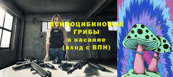 гидра Аркадак