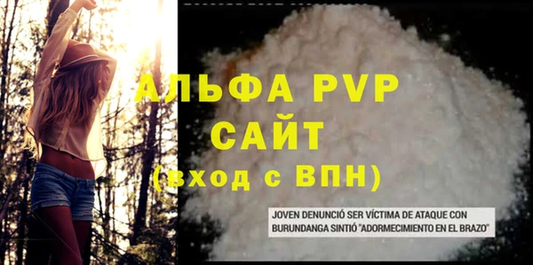 индика Арсеньев