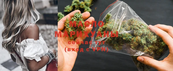 индика Арсеньев