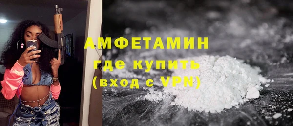 гидра Аркадак