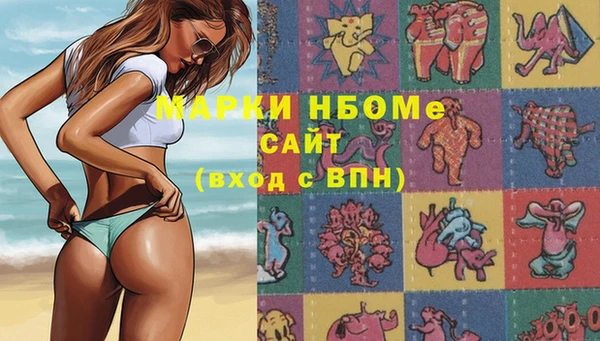 индика Арсеньев