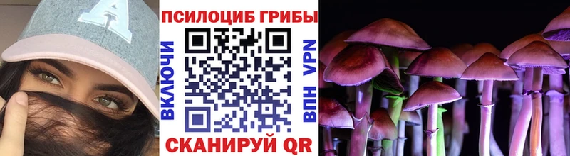 Псилоцибиновые грибы ЛСД  Ижевск 